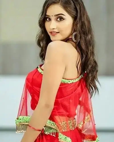 Call Girls Service T Nagar